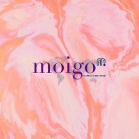 Moigo Agency logo - Similar company to Emorpi