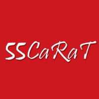 55CARAT Gemstones & Jewelry logo - Similar company to Visvesa Gemstones