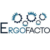 Ergofacto logo - Similar company to Art Kingdom