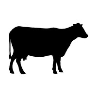 De Loeiende Koe logo