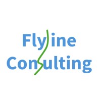 Flyline Consulting logo - Similar company to Opscon