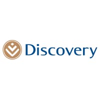 Discovery Consulting Services Centurion logo - Similar company to Punkystarfish Digital Agency