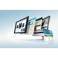 Busitize logo - Similar company to Infinity Deliver