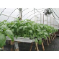 Hydroponic  Consultancy logo - Similar company to Capto Biotech & Infra Limited