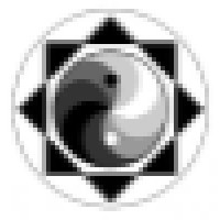 Lifestyle Martial Arts logo - Similar company to True Martial Arts