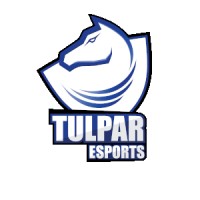 Tulpar Esports Kulübü logo - Similar company to Kallavi