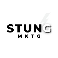 STUNG MKTG logo - Similar company to Eclipse Professional Services