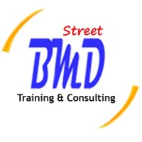PT. Bisa Mandiri Strategi Investasi (BMD Group) logo - Similar company to Value Consult
