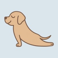Euphorie Chiot Inc. logo - Similar company to Immotalks