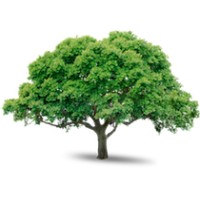 Allentown Tree Service LLC logo - Similar company to Arader Tree Service, Inc.