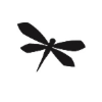 Dragonfly Motion