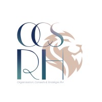 OCS RH logo - Similar company to Association Sbd