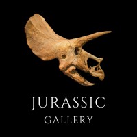 Jurassic Gallery logo - Similar company to Coffee Chat