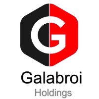 Galabroi Holdings Incorporated logo - Similar company to Granicus Group
