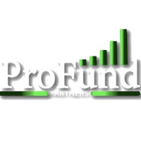 ProFund Partners logo - Similar company to O' Solution