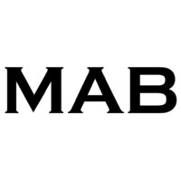 Monolithica logo - Similar company to Coresonic Ab