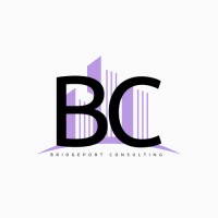 Bridgeport Consulting logo - Similar company to Bridgeport Consulting, Llc