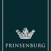 Prinsenburg logo - Similar company to Qttroo