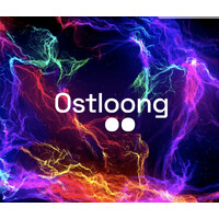 Ostloong Innovations AG logo - Similar company to Mobbot