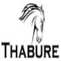 Thabure Towerco logo - Similar company to Vinousbosch Technologies