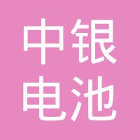 中银（宁波）电池有限公司