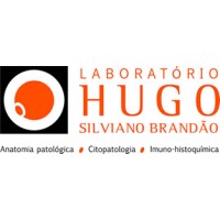Laboratório Hugo Silviano Brandão logo - Similar company to Laboratório Oswaldo Cruz