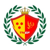 Tonga National Esports Federation logo - Similar company to Atlantic Digital