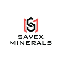 Savex Minerals logo - Similar company to Гк Balex