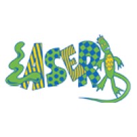 LASER Childcare logo - Similar company to Brinx.Tv