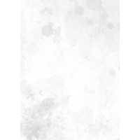 Non logo - Similar company to Daaim