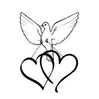 Dove'S Eye View Wedding Livestreaming - Chicago