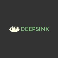Deepsink logo - Similar company to Kala
