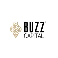 Buzz Capital logo - Similar company to Buzz Consulting Group