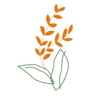 Chicago Frontlines Funding Initiative logo - Similar company to Digital Cloud Sphere