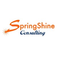 SpringShine Consulting, Inc. logo - Similar company to Riya Software Consulting, Llc