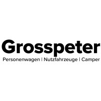 Grosspeter AG logo - Similar company to Garage Keigel