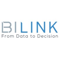 Bilink USA logo - Similar company to Bilink Solutions