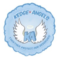 KEDGE ANGELS logo - Similar company to Nikolsen, Business Centers