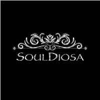 SoulDiosa logo - Similar company to Jake Media