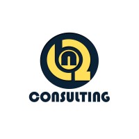 BN2.Consulting Services logo - Similar company to Execution Consulting Ltd.