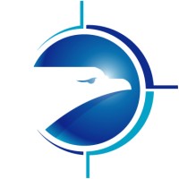 Shetland Flyer Aerial Media logo - Similar company to Shetland Charitable Trust