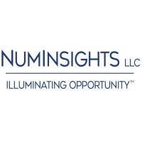 Numinsights Llc