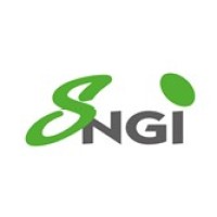 SNGI logo - Similar company to Process Grenaillage