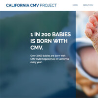 California Cmv Project