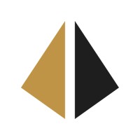 Dutch Survey Solutions logo - Similar company to Geodirect
