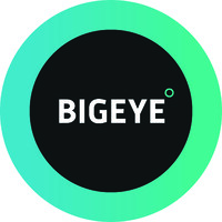 Big Eye logo - Similar company to Savvy