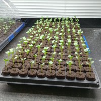 MatrixRay Tech Inc. logo - Similar company to Ethosmed