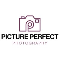 Picture Perfect Studios logo - Similar company to Clever Animatic