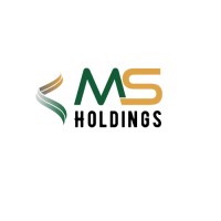 MS Holdings USA logo - Similar company to Rhea Windows