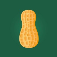 Amendoim Brasil logo - Similar company to Red Fruit